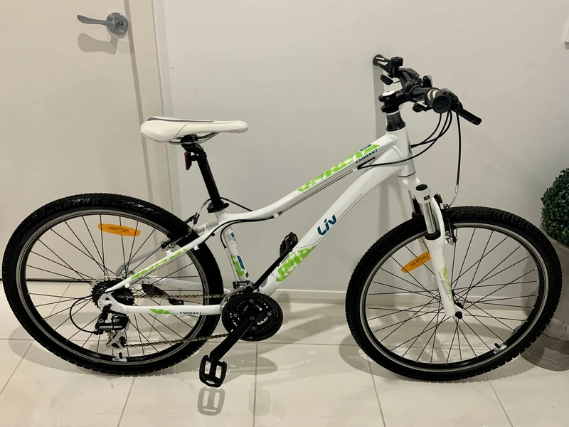 womens mountain bike gumtree