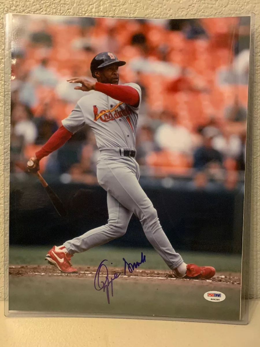 Ozzie smith on sale autographed jersey