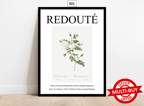 Redoute Print Wall Art Poster Fauvism Exhibition Home Decor Roses Botanical Gift - Picture 33 of 36