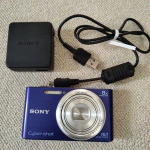 Sony Cybershot Dsc W 730 | eBay
