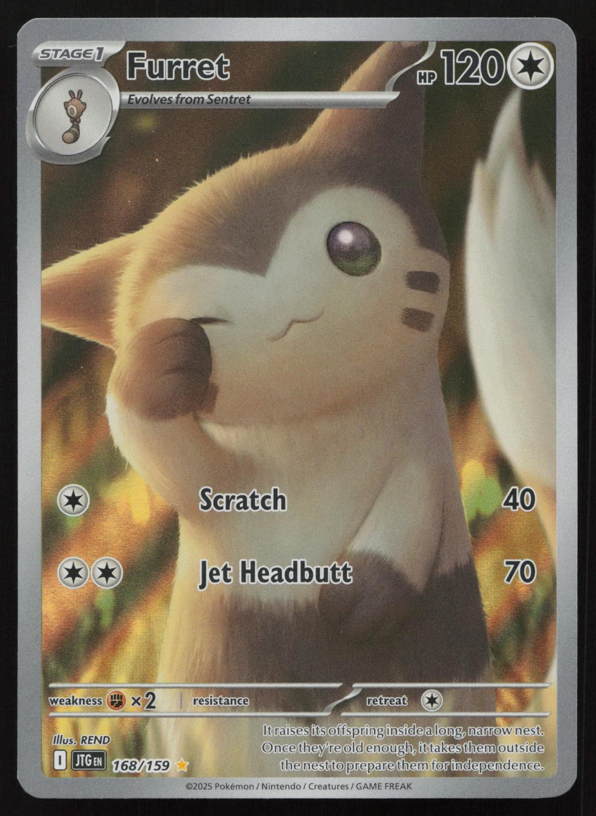 Furret 168/159 Holo Illustration Rare Journey Together Pokemon English NM