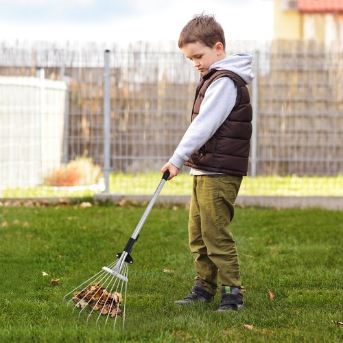 Rastrelliere Retrattile per Prati Foglia Bambino Viaggio Paesaggistica Regolabile Giardino - Foto 12 di 12