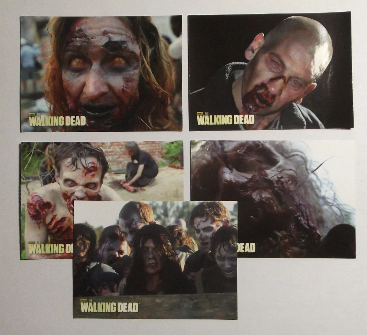 2013 The Walking Dead Season 2 update dog tags sticker lot S5 S8 S12 S21 S24
