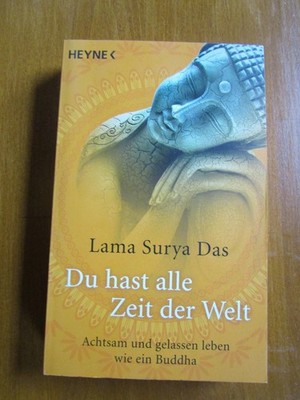 Lama Surya Das: Du hast alle Zeit der Welt, TB 2013, 285 S.