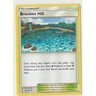 Pokémon Brooklet Hill Guardians Rising 120/145 Uncommon EN Trainer Stadium
