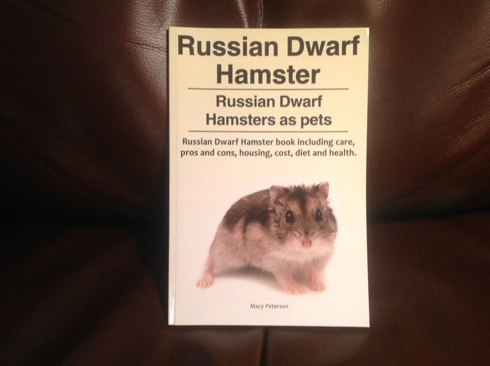 How to Care for a Pet Campbell's Dwarf Hamster