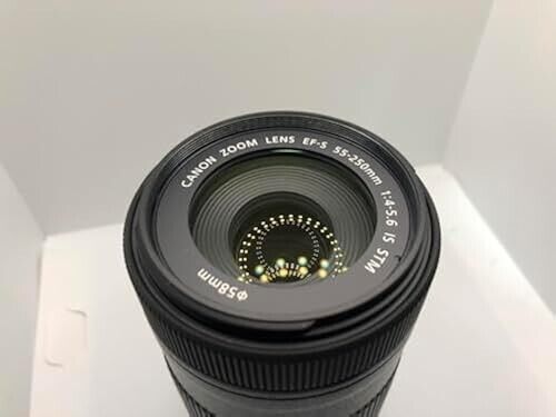 NEAR MINT Canon EF-S 55-250mm f/4-5.6 IS STM Telephoto Zoom NEAR MINT Canon EF-S 55-250mm f/4-5.6 IS STM Telephoto Zoom
