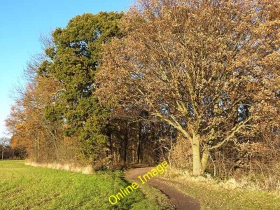 Photo 6x4 Only three miles from the City Centre... Longbenton Path throug c2013
