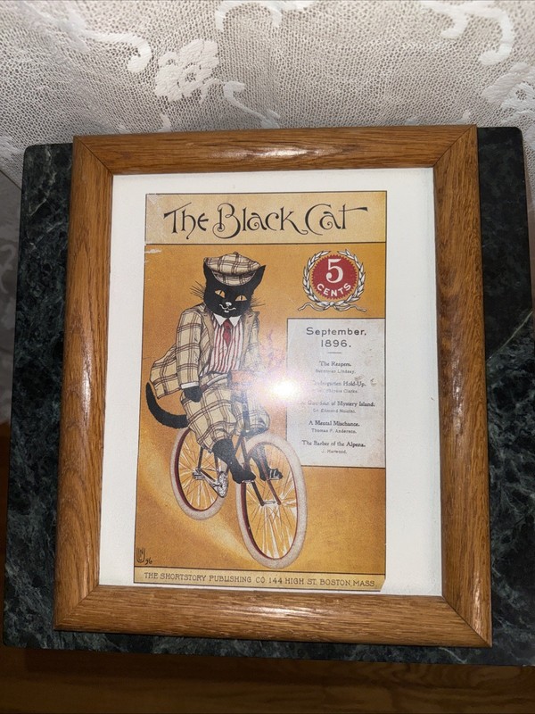 Vintage Book Photo Wood Glass  Framed The Black Cat From The Cat Made Me Buy It