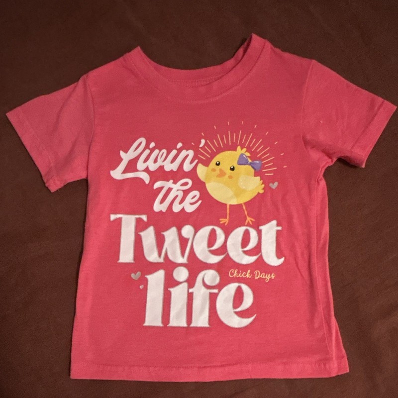 Girls Chick Graphic T-Shirt 4T
