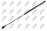 NTY AE-FR-016 Gasfeder, Kofferraum-/Laderaum FüR Ford