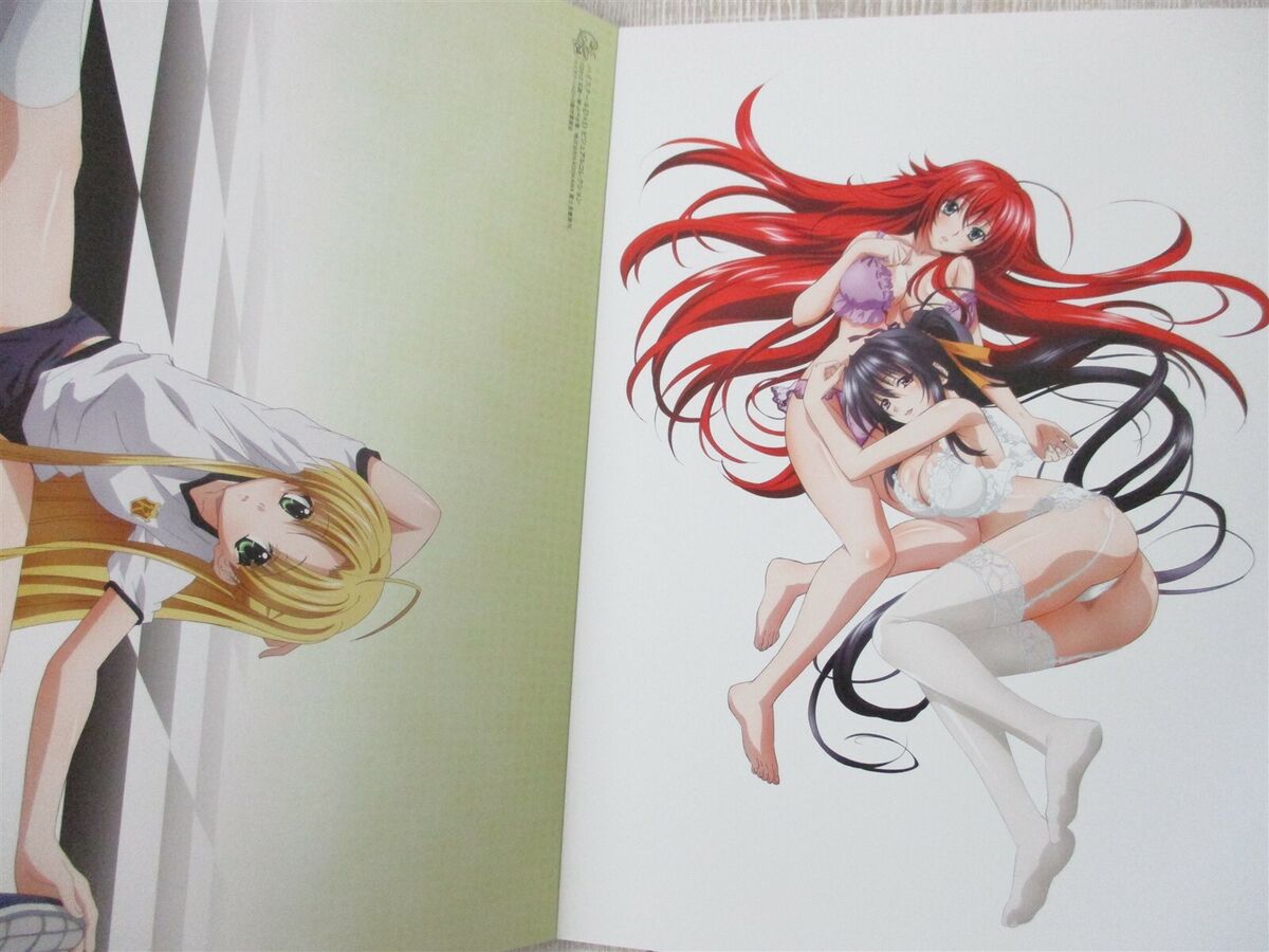 HIGHSCHOOL D X D Visual Collection Art Set Book w/Bath Poster