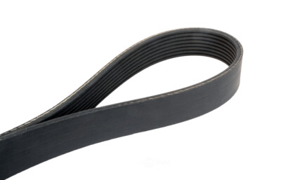 Serpentine Belt Continental Elite 4081295 | eBay