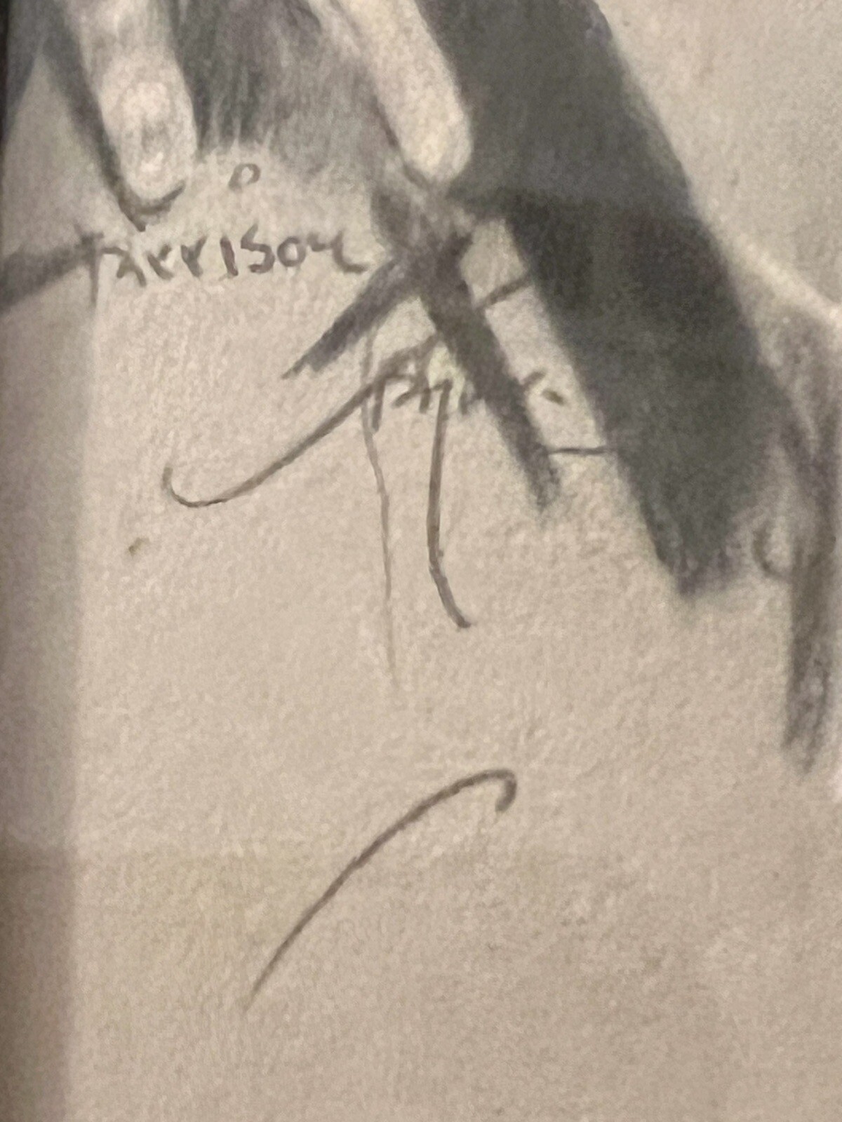 Picture 3 of 11