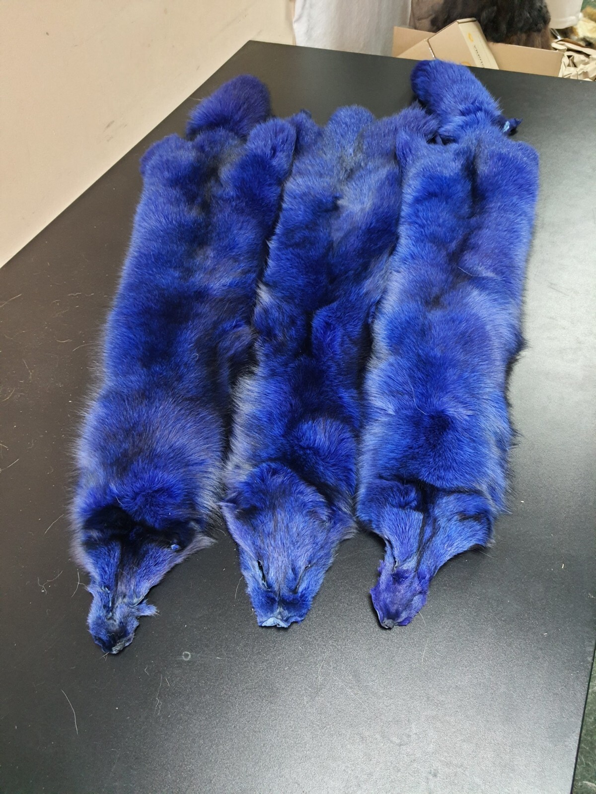 finland raccoon blue frost fox❣️ muffler