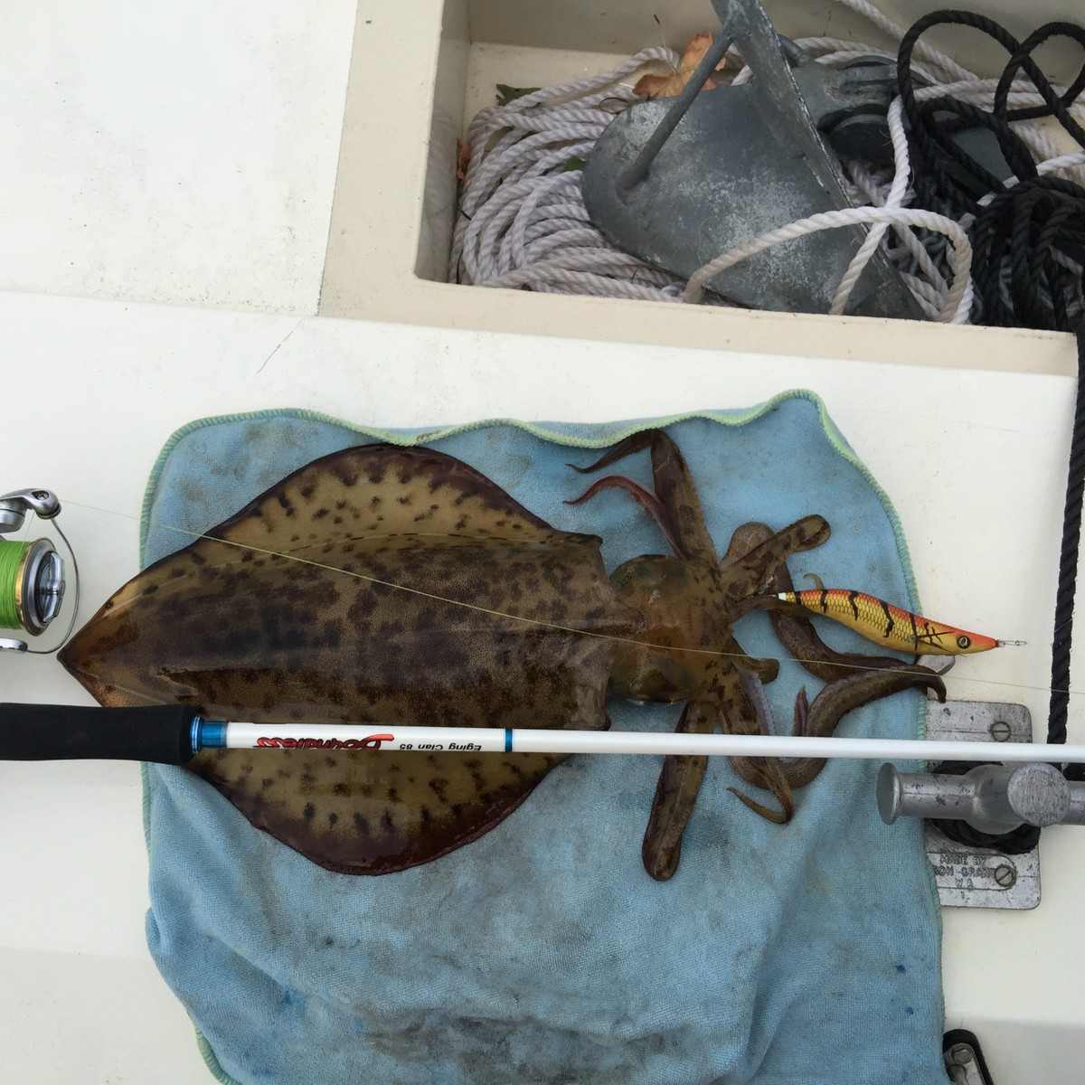 Leurre De Surface Bar Peche Mer RUI Squid Jig GS02 AKA RED MULLET Gold Belly Egi Fishing Lure Leurre Mer - Foto 4