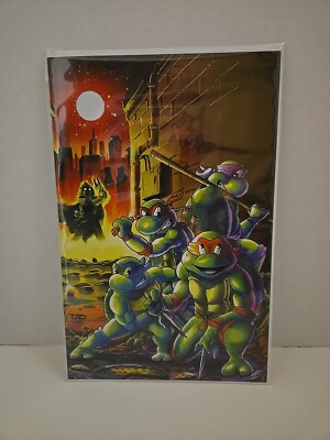 TMNT: Saturday Morning Adventures #11 NM Stashhhloot Virgin PONCHO Cover
