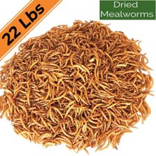 22lbs Dried Mealworms for chickens - Chicken Treats Duck Feed Organic Meal Worms