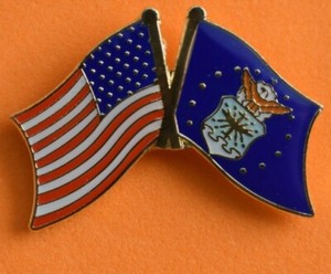 Air Force Flag Lapel Pin