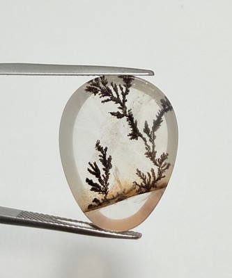 D0076 - Dendritic quartz, Dendrite quartz,Scenic quartz, Landscape quartz,