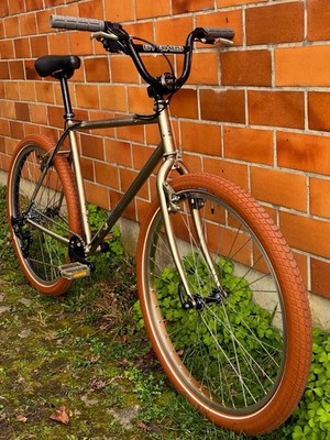 Poulidor MTB Custom GT Bikes
