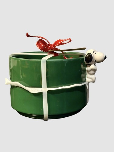 Rae Dunn Peanuts 3-D Snoopy Hundenäpfe Futter- & Wassergeschirr Dunkelgrün Set Neu - Bild 5 von 8