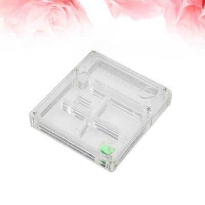 Ecosystem Box Ant haute qualité Habitat Kit Transparent Box Ant Box Habitat