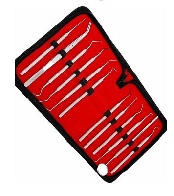 12 Pcs Straight, Single, Short Double, Long Double, Triple and Hook Tips 5.5''-6''