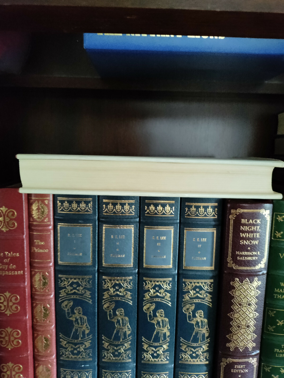 Picture 5 of 12
