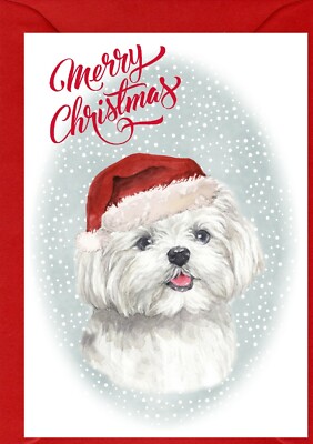 Malteser Hund A6 (4''x 6'') Weihnachtskarte (innen leer) von Starprint