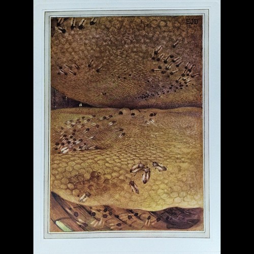 1912 1st Edtn (Thus)/2nd Prnt THE LIFE OF THE BEE By Maurice Maeterlinck DETMOLD - Bild 19 von 19