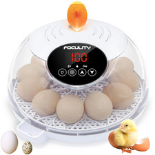 Egg Incubator for Hatching Chicks, Holds 12 Eggs, Automatic Egg Turner with Temp