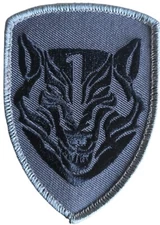 MEDAL OF HONOR WOLFPACK MOH AFO ACU DARK MORALE HOOK EMBROIDERED TACTICAL PATCH