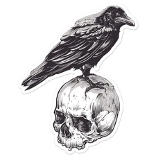 Crow Skull Raven - Vinyl Decal Sticker - Car Window Laptop - ebn8996