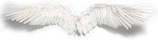 Amaz Style Angel Wings Costume Small White