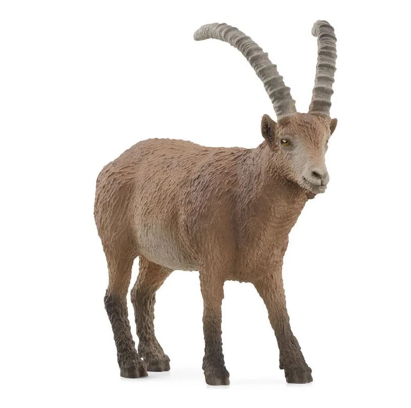 SCHLEICH - Figurine de l'univers des animaux sauvages – Bouquetin - - SHL14873 - Photo 1/1