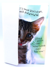 Hallmark "IT'S YOUR BIRTHDAY, AND AWWW..." BIRTHDAY Card Envelope 136