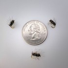 6 Pc Griffin's Gnat Size #16 Dry Fly Fishing Flies Trout, Bluegill, Panfish A — photo 4