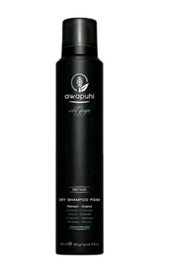 Paul Mitchell Awapuhi Wild Ginger Dry Shampoo Foam 5.6 Oz