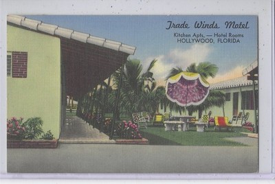 Advertising Postcard - Trade Winds Motel Hollywood FL