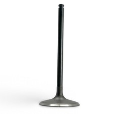 Polaris Ace Ranger Sportsman 450 500 1000 (2017-26) Engine Intake Valve 3022703
