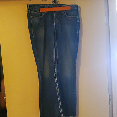 Silver Blue Denim Straight Fit Jeans Mid Rise 5-Pocket Button Embroidered