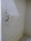 Bild 9 von 12