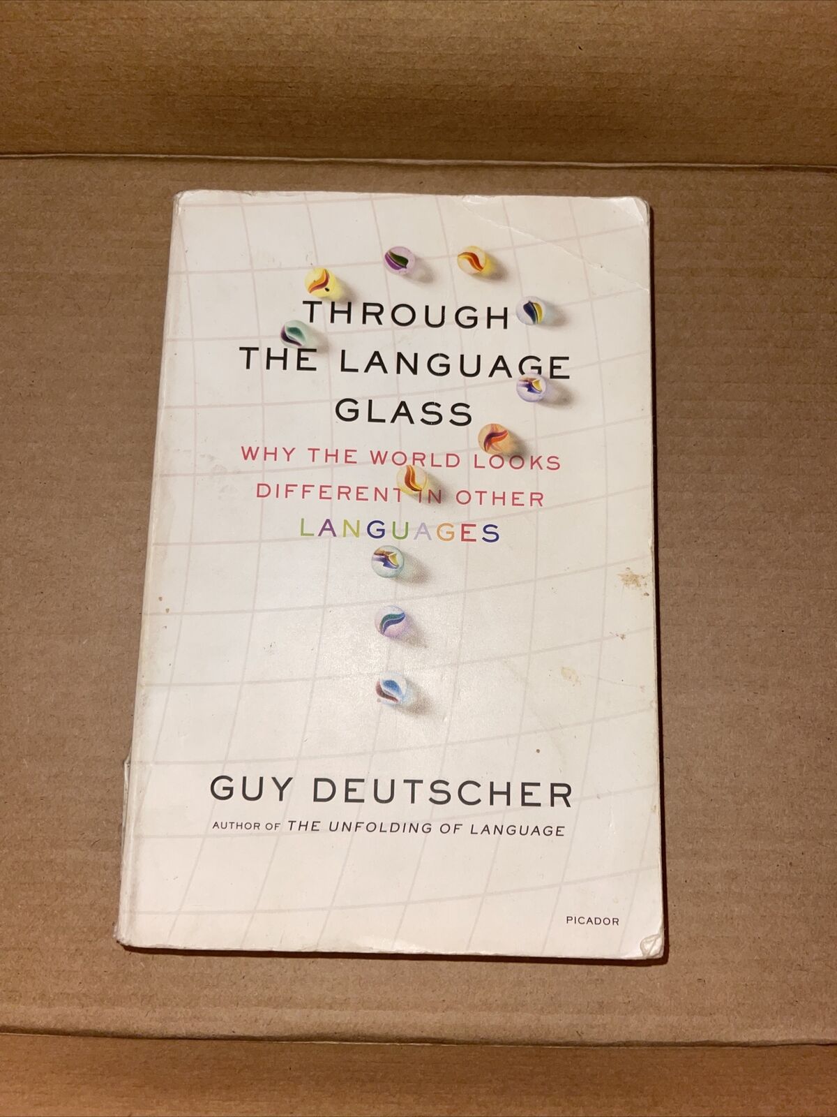 Cyberruimte Derde Atticus Through the Language Glass : Why the World Looks Different in Other  Languages by 9780312610494 | eBay