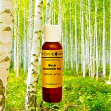 Best Birch Essential Oil  100 Pure  Natural  Therapeutic Grade  2 oz