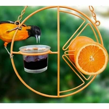 Heath CLEMENTINE ORIOLE FEEDER, Bird Feeder, Holds Jelly,Fruit, Mealworms.