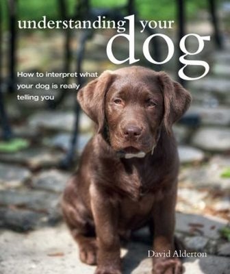 Understanding Your Dog : How to Interpret What Your Dog Is Really