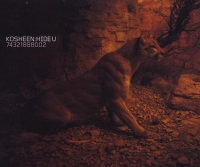 Kosheen - Hide U MCD #G2002025