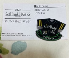 Hawks 20th Original Badge TBKashi Kai 62 Fukuoka Softbank MLB UnPBadge Used FFB