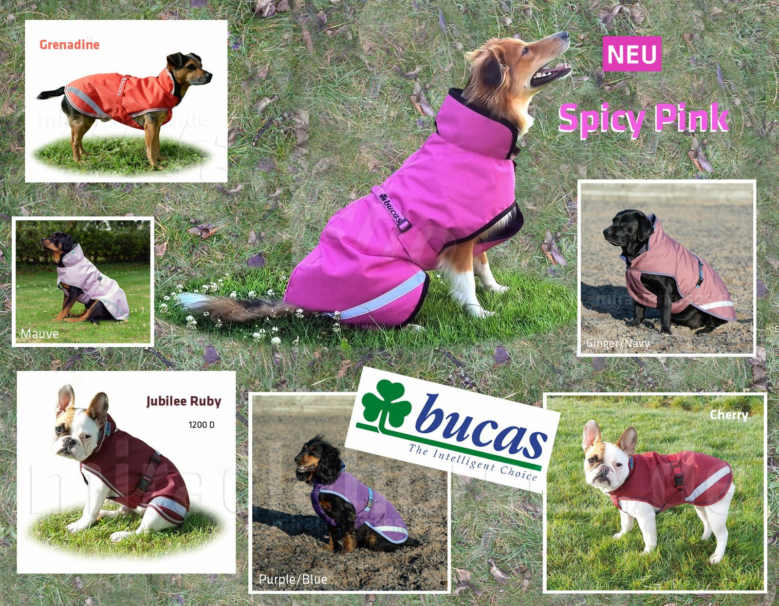 Bucas Dog Coat Freedom 50g Dog Jacket Pink Red Dark Red Purple up to